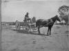print of Bill Slotterback on a horse-drawn wagon