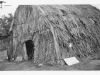 print of tule hut back says "1950 Lake County Fair, Looking