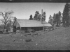 panorama print of Upper Buck Ridge sawmill.