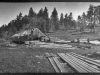 panorama print of Upper Buck Ridge sawmill.