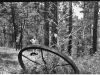 Negative of photo of man near steel drive wheel in woods.